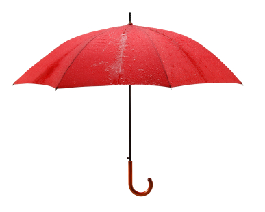 Shelter Service